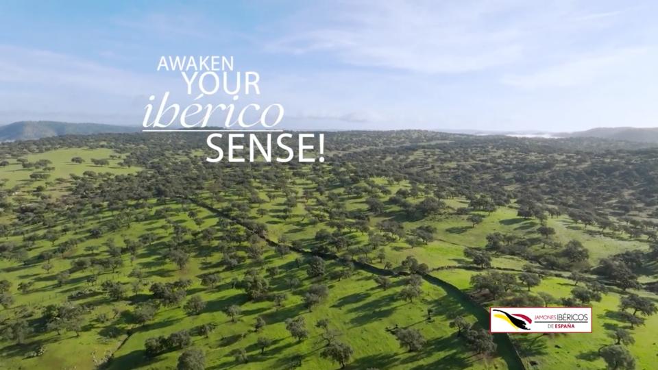 IBERICO_07